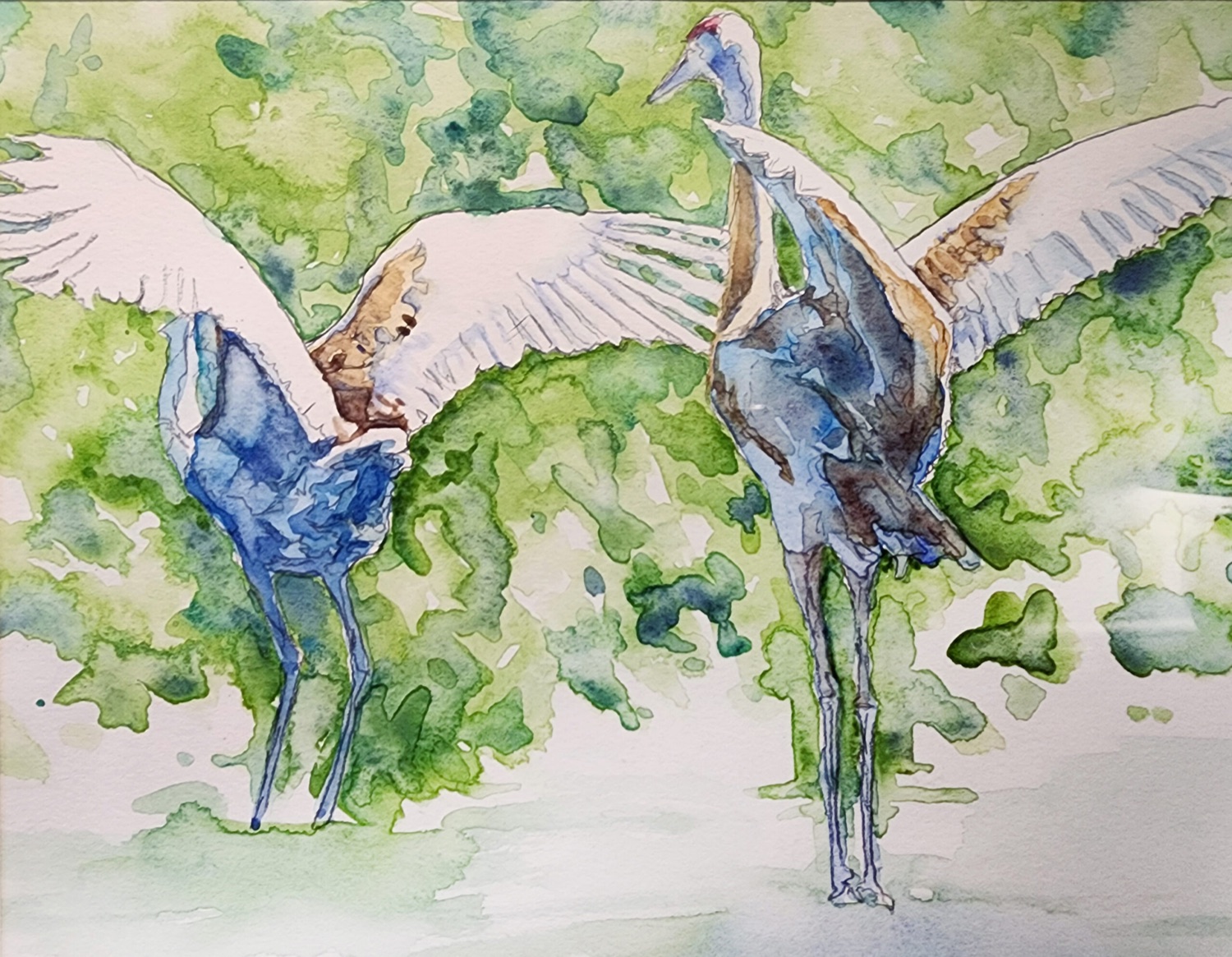 Watercolor cranes by Theo Howard